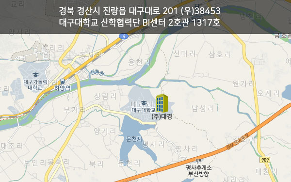 경북 경산시 진량읍 대구대로 201, 대구대학교 산학협력단 BI센터 2호관 1317호